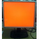 Монитор 19" TFT HP 1955 (DVI в Фрязино, USB-хаб) "квадратный" (Фрязино)