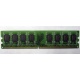 Модуль оперативной памяти 4096Mb DDR2 Patriot PSD24G8002 pc-6400 (800MHz)  (Фрязино)