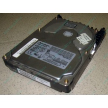 Жесткий диск 18.4Gb Quantum Atlas 10K III U160 SCSI (Фрязино)