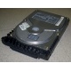 Жесткий диск 18.4Gb Quantum Atlas 10K III U160 SCSI (Фрязино)