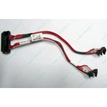 SATA-кабель для корзины HDD HP 451782-001 459190-001 для HP ML310 G5 (Фрязино)