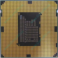 Процессор Intel Celeron G540 (2x2.5GHz /L3 2048kb) SR05J s.1155 (Фрязино)