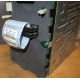 HP 365664-001 кабель SCSI для корзины 373108-001 / 359719-001 HP ML370G4 (Фрязино)