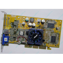 Видеокарта Asus V8170 64Mb nVidia GeForce4 MX440 AGP Asus V8170DDR (Фрязино)