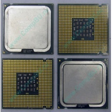 Процессоры Intel Pentium-4 506 (2.66GHz /1Mb /533MHz) SL8J8 s.775 (Фрязино)